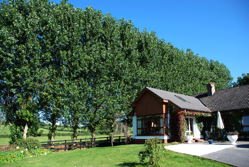 The Bungalow Farmhouse Clomantagh Ngoại thất bức ảnh